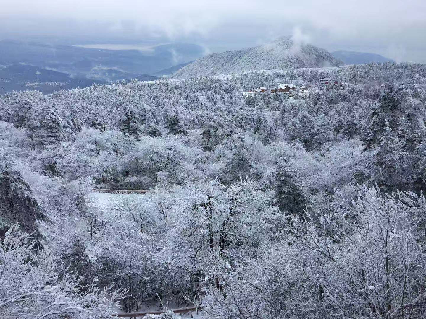 微信圖片_20190104114811.jpg