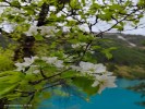 成都九寨溝黃龍四姑娘山熊貓樂(lè)園或都江堰2+1頭等艙100%真純玩川西王炸6日游