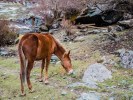 成都稻城亞丁木雅圣地木格措經(jīng)典7日游